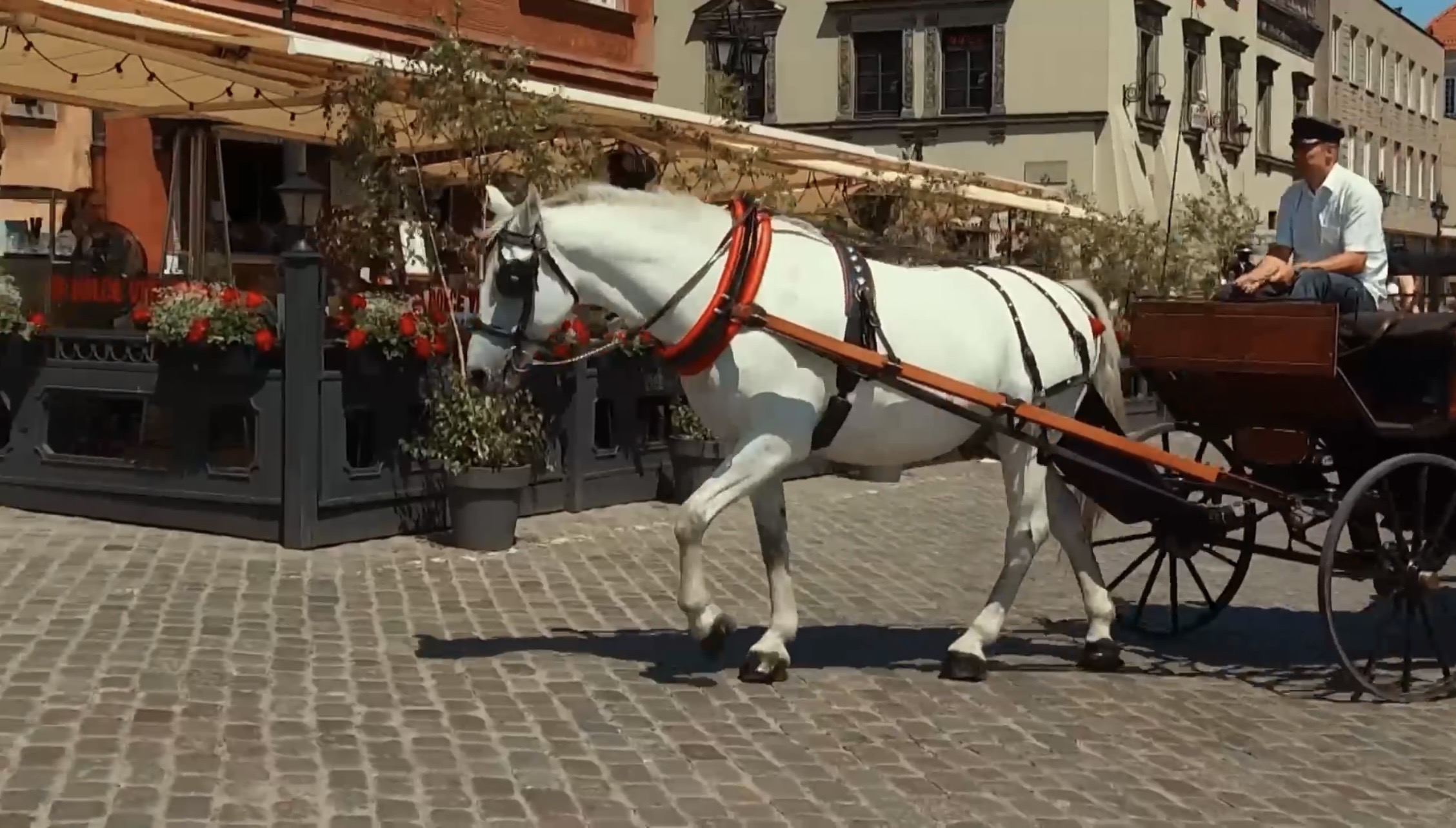 Image du documentaire de la course de 12 heures en Pologne pour YAS Sports TV